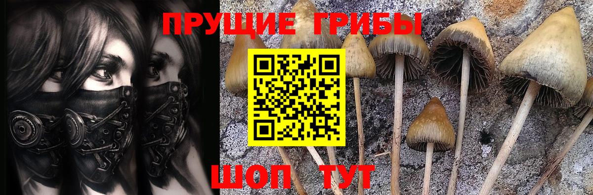 Галлюциногенные грибы MAGIC MUSHROOMS Ростов Великий